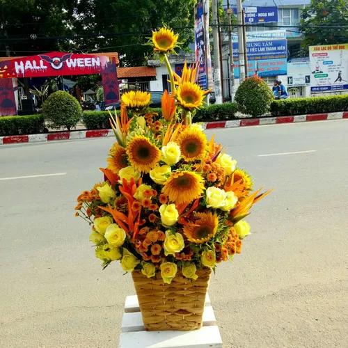 Hoa Tươi Ngày Nhà Giáo 16