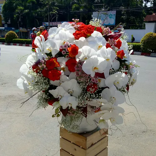 Hoa Tươi Ngày Phụ Nữ Việt Nam 85