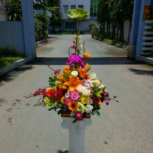 Hoa Tươi Ngày Phụ Nữ Việt Nam 98