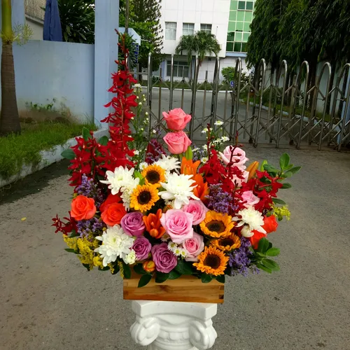 Hoa Tươi Ngày Phụ Nữ Việt Nam 99