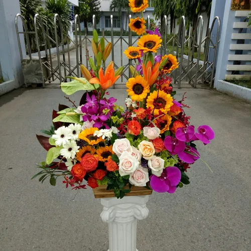 Hoa Tươi Ngày Phụ Nữ Việt Nam 100