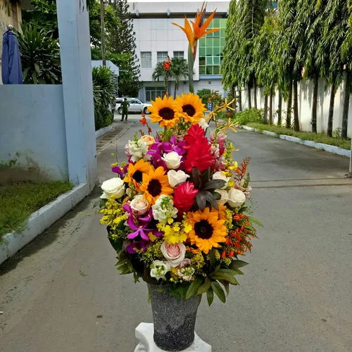 Hoa Tươi Ngày Phụ Nữ Việt Nam 104