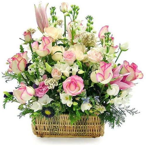 Hoa Tươi Ngày Quốc Tế Phụ Nữ 23