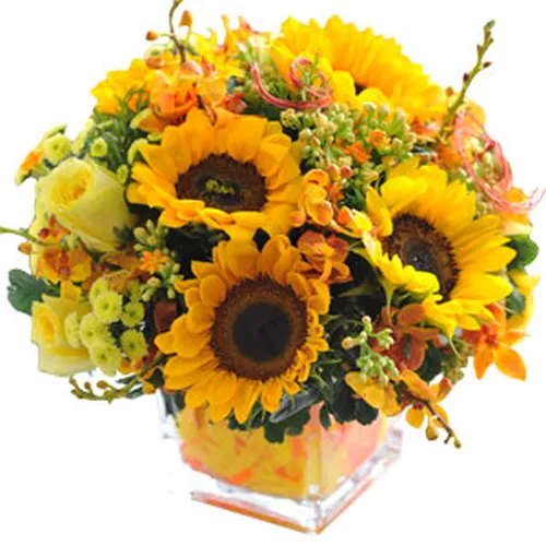 Hoa Tươi Ngày Quốc Tế Phụ Nữ 40