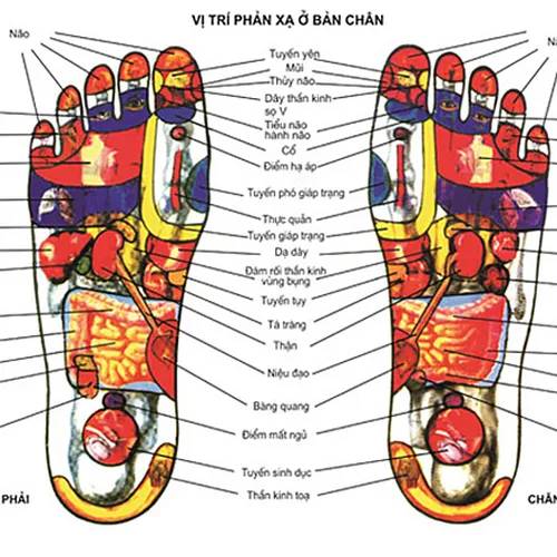 Massage Chân tại phường Bình Hòa