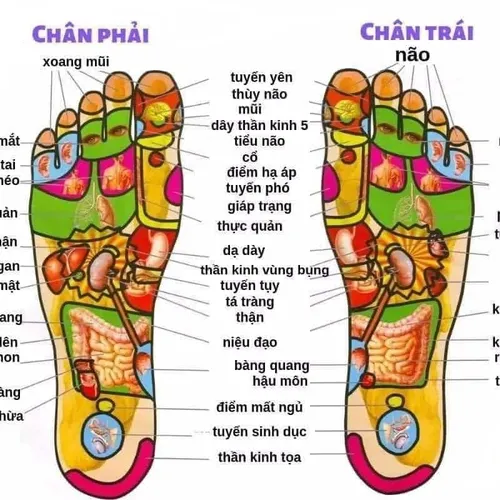 Massage Chân tại xã Đất Cuốc