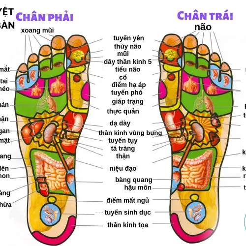 Massage Chân tại xã Thường Tân
