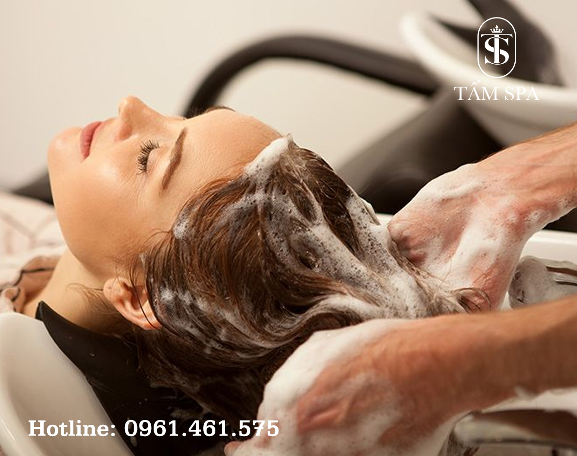 Gội Đầu Dưỡng Sinh Bí Quyết Thư Giãn và Chăm Sóc Sức Khỏe Toàn Diện Gội Đầu Dưỡng Sinh Bí Quyết Thư Giãn và Chăm Sóc Sức Khỏe Toàn Diện