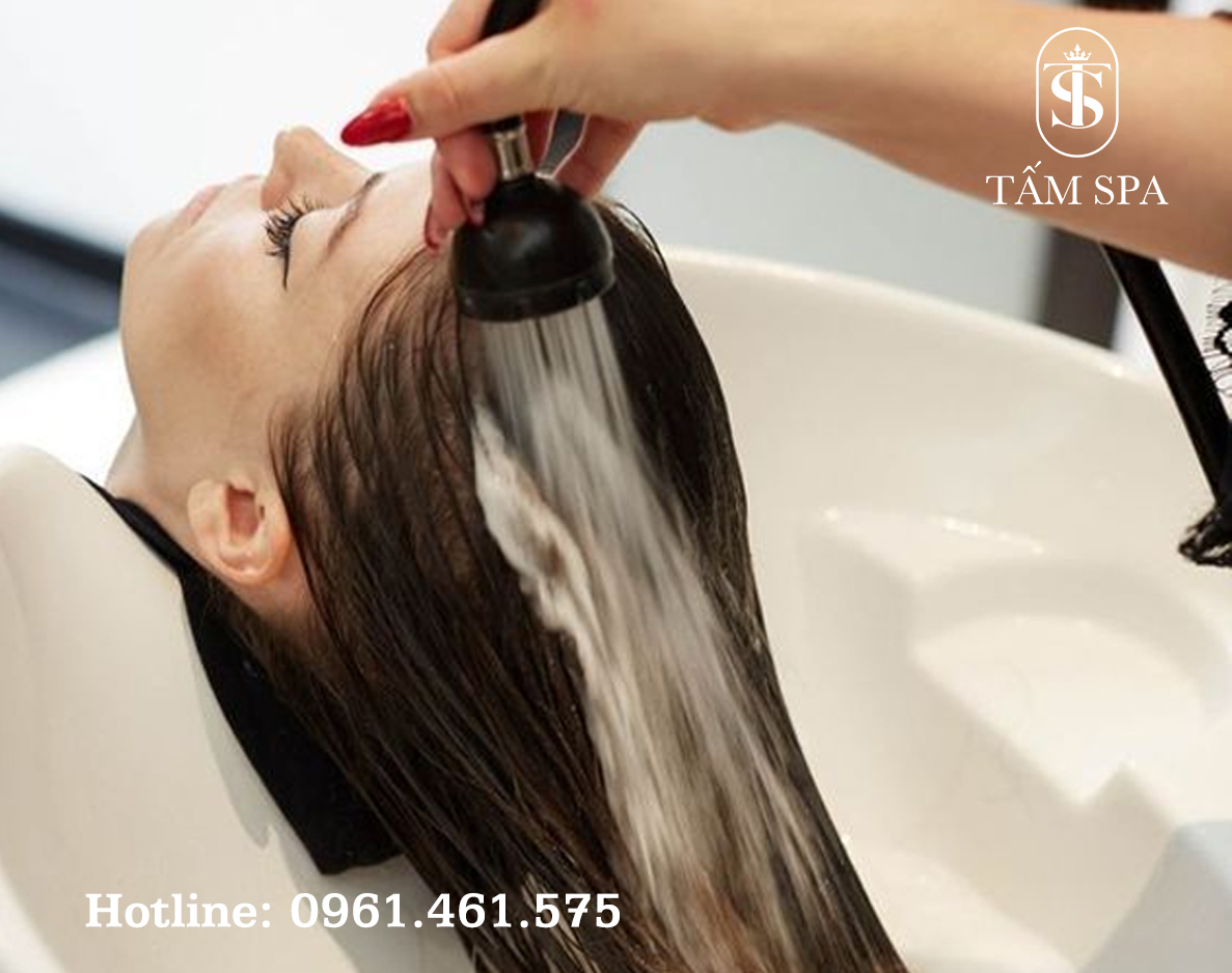 Gội Đầu Dưỡng Sinh Bí Quyết Thư Giãn và Chăm Sóc Sức Khỏe Toàn Diện Gội Đầu Dưỡng Sinh Bí Quyết Thư Giãn và Chăm Sóc Sức Khỏe Toàn Diện