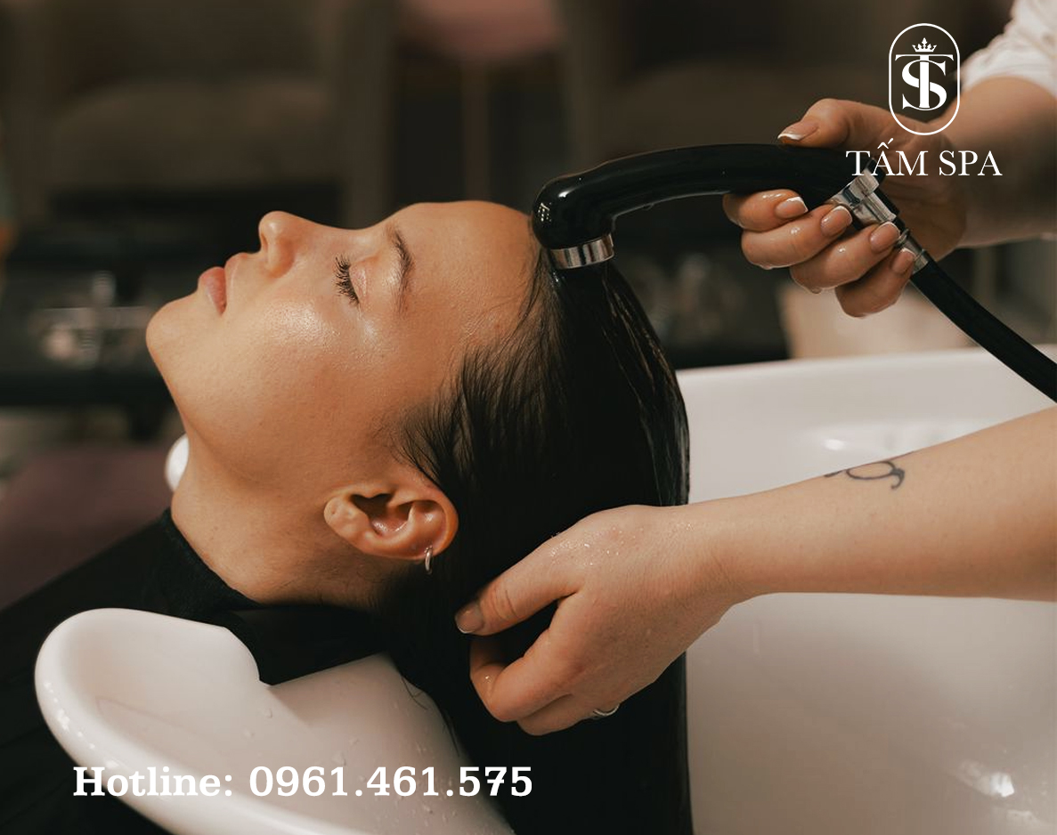 Gội Đầu Dưỡng Sinh Bí Quyết Thư Giãn và Chăm Sóc Sức Khỏe Toàn Diện Gội Đầu Dưỡng Sinh Bí Quyết Thư Giãn và Chăm Sóc Sức Khỏe Toàn Diện