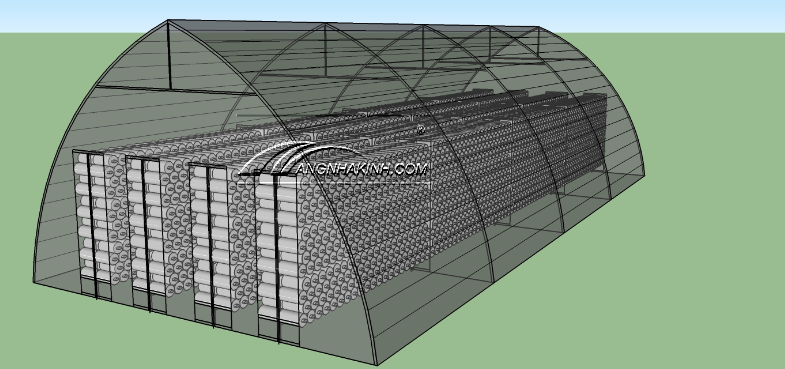 LIÊN MINH SẢN XUẤT NẤM SẠCH