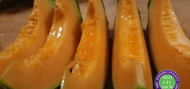 LIÊN MINH NÔNG NGHIỆP HỮU CƠ