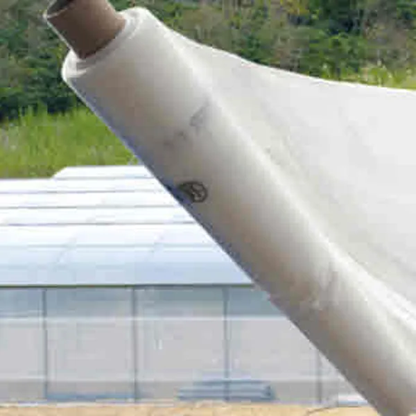 Màng nhà kính Israel