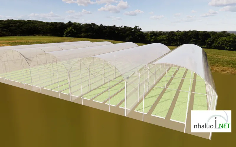 10 Cách Làm Nhà Lưới Trồng Rau Hiệu Quả Nhất Năm 2024