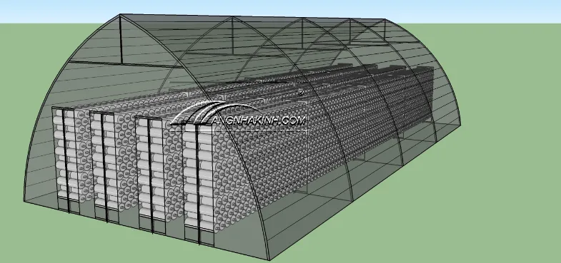 LIÊN MINH SẢN XUẤT NẤM SẠCH