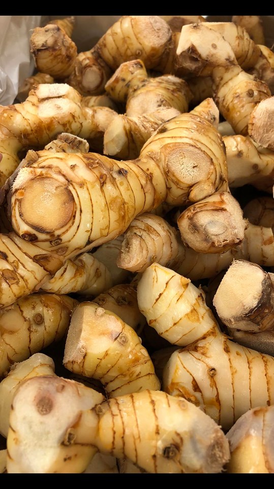 Bán sỉ củ riềng tươi