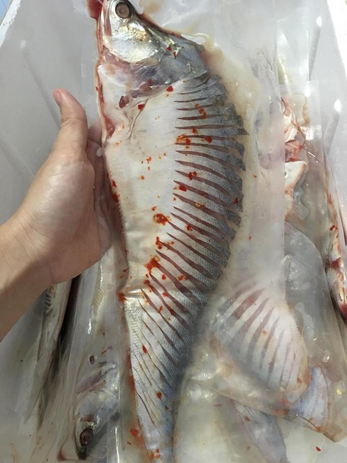 Cá thát lác rút xương