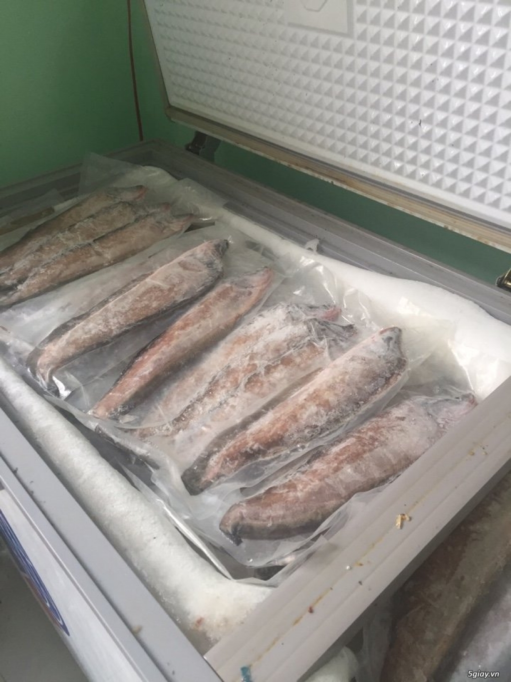 Cá thát lát lóc xương