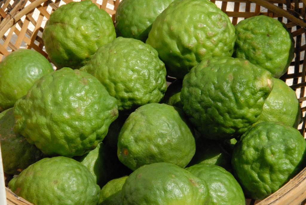 Chanh Thái bán sỉ