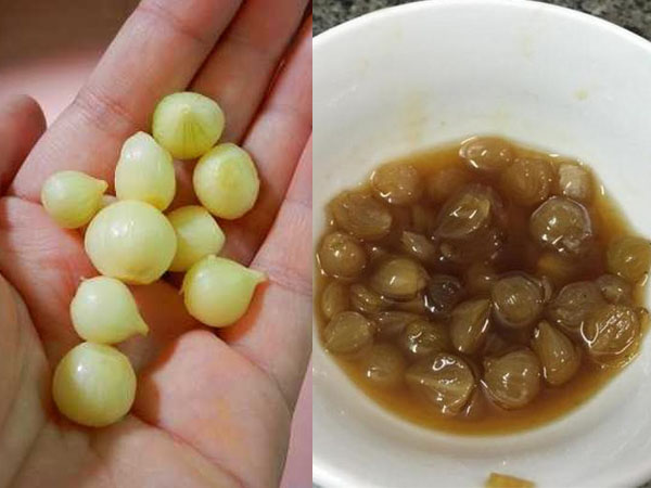 Củ nén chưng cách thủy đường phèn