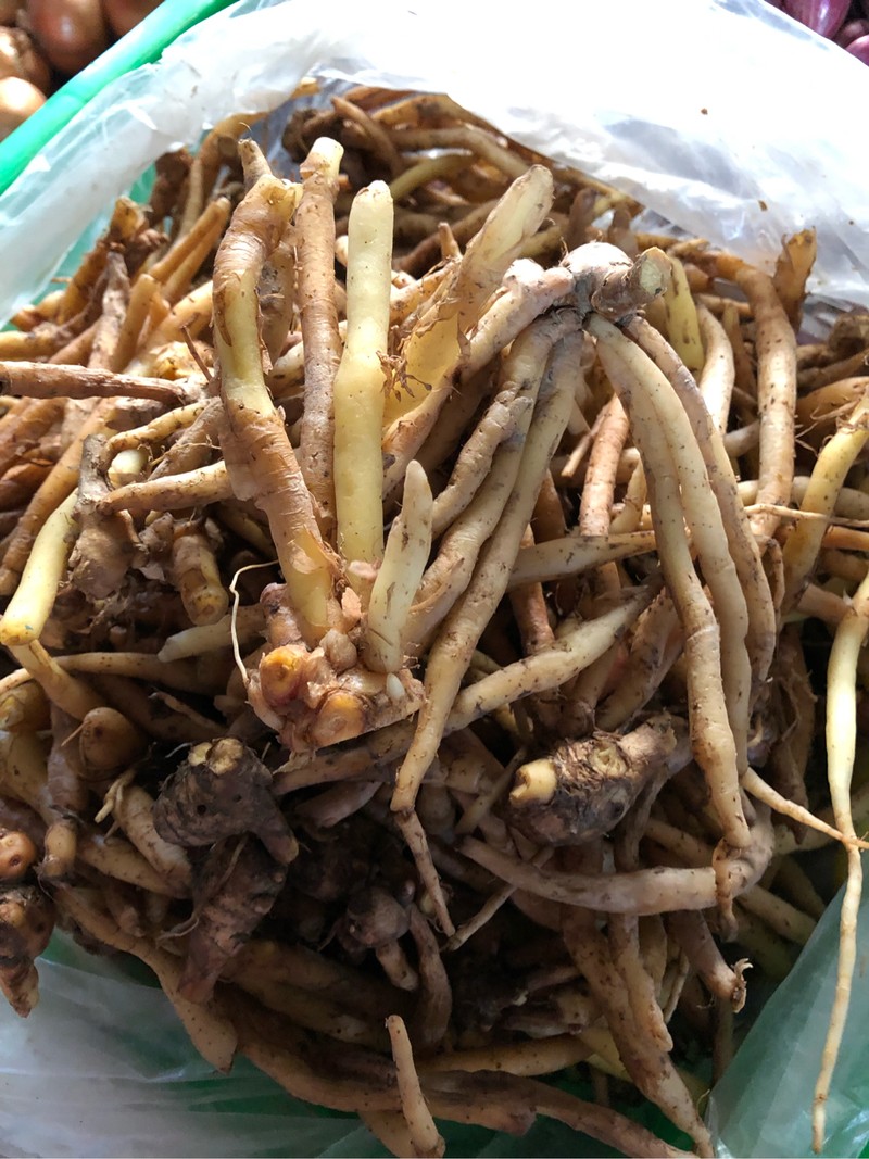 Củ ngải bún giá sỉ