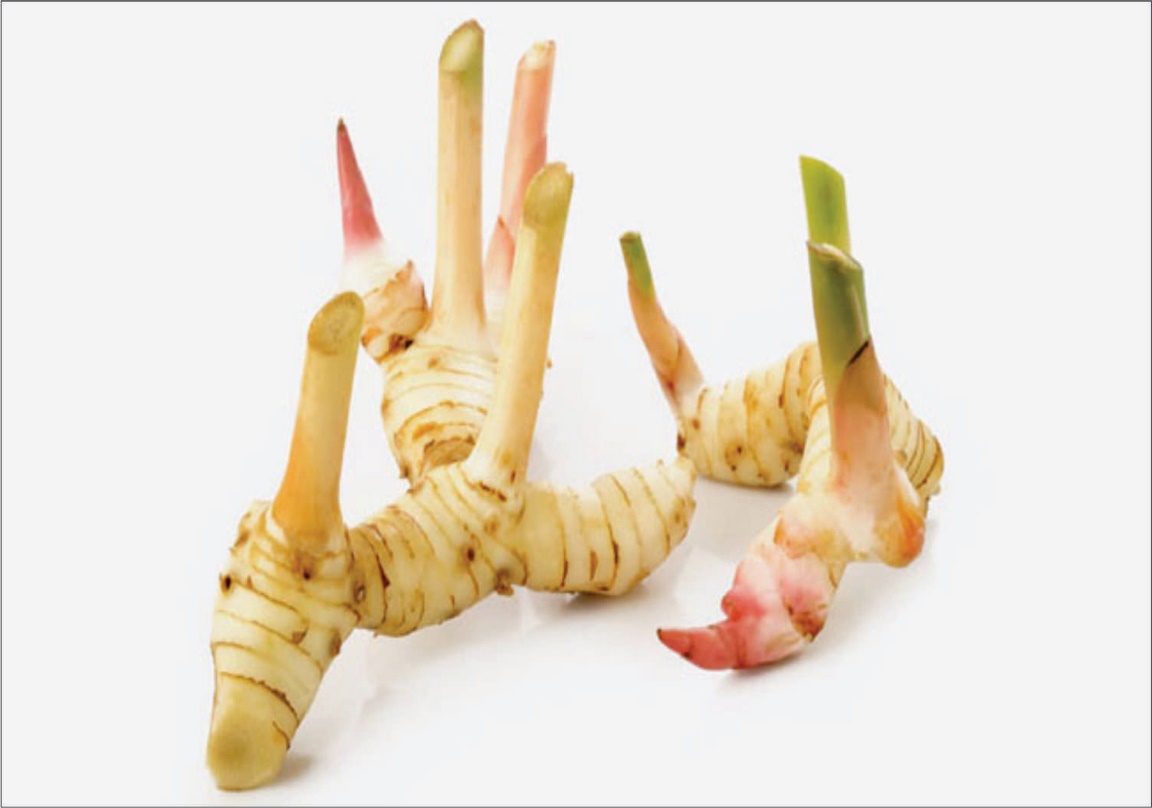 Củ riềng chữa nhiều bệnh