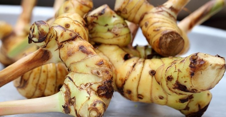 Địa chỉ mua củ riềng tại TPHCM