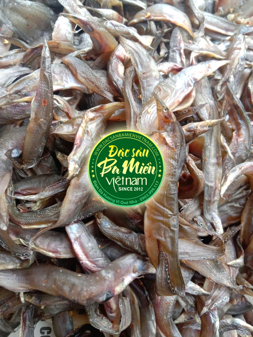 Khô cá chạch kim chiên nhậu ngon