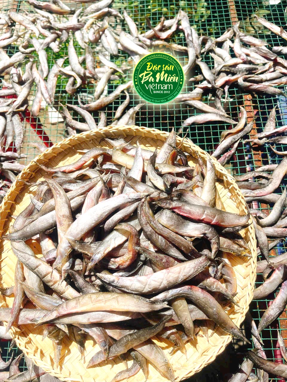 Khô cá chạch kim chiên nhậu ngon