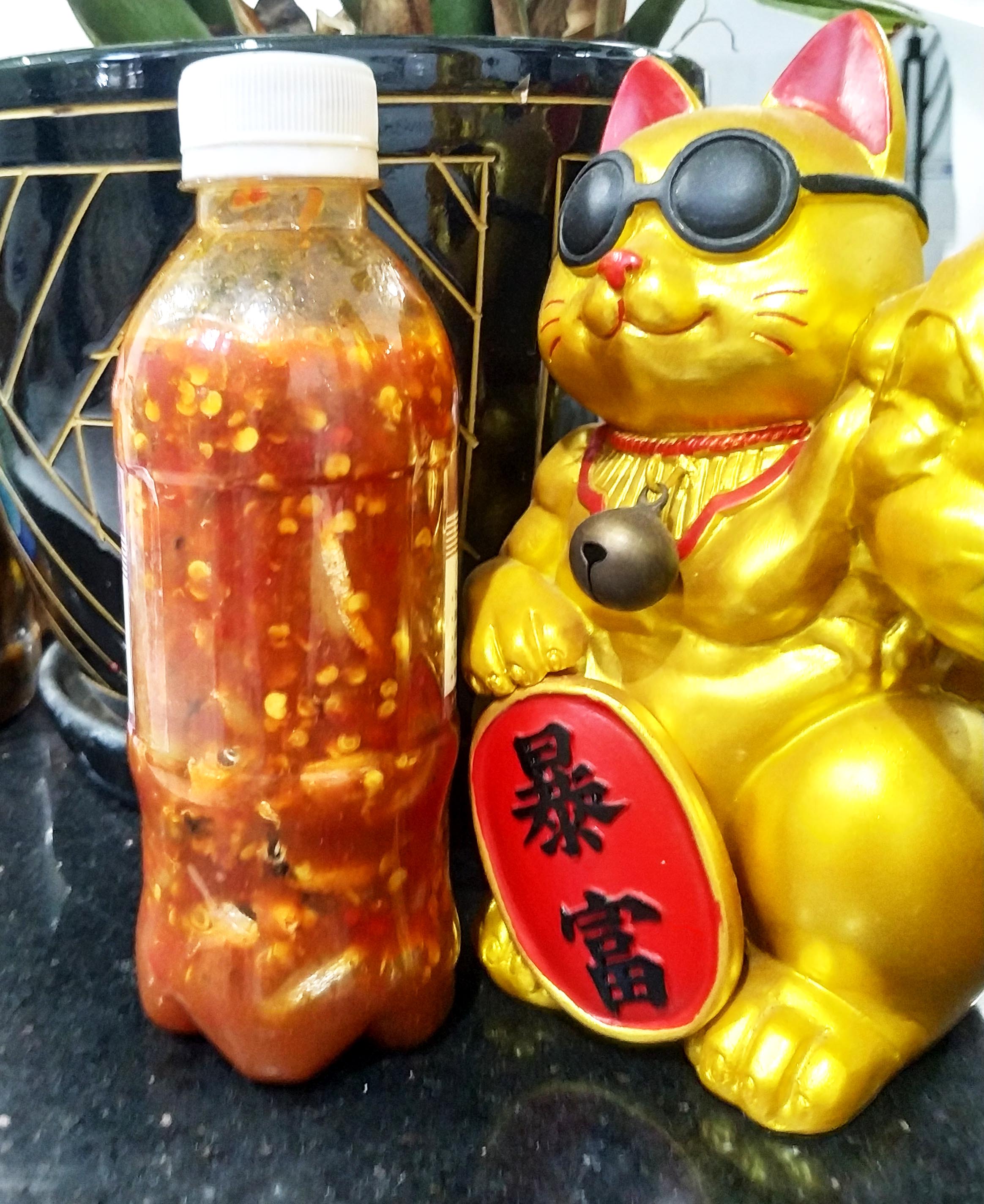 Mắm cá cơm BÌnh Định ngon