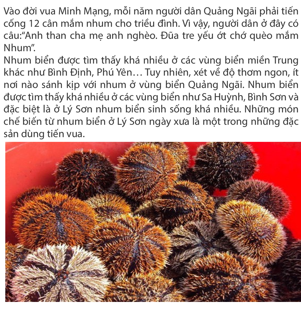 Mắm nhum tại TPHCM