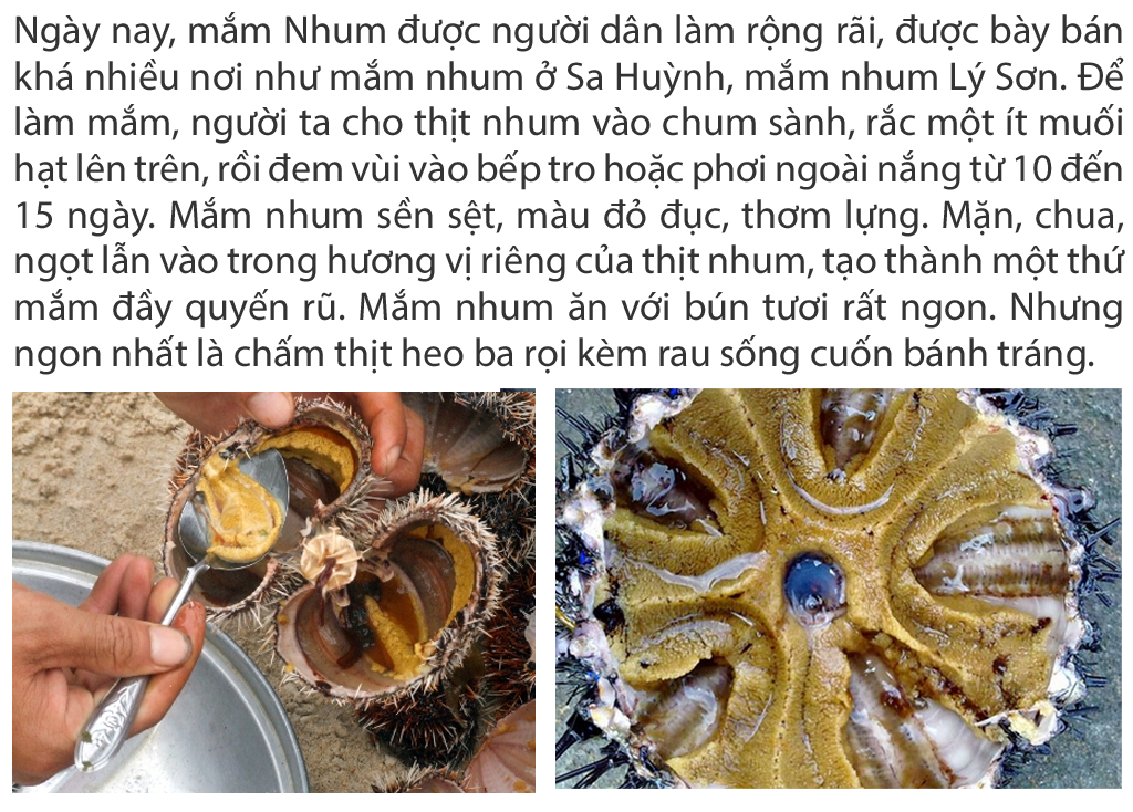 Mắm nhum tại TPHCM