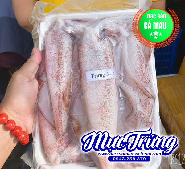 Mực trứng 5-7con/kg ngon