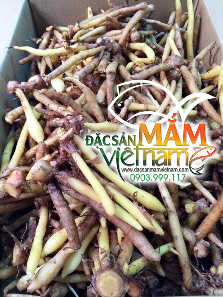 Ngải bún Châu Đốc