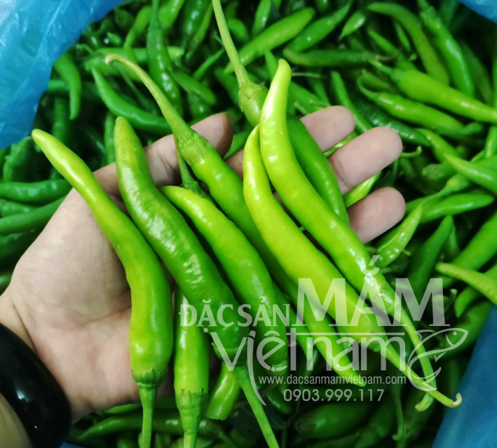 Ớt xanh Đà Nẵng tại TPHCM