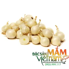 Củ nén Quảng Ngãi - 500g