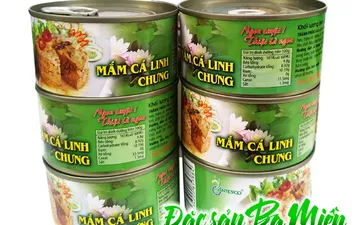 Mắm cá linh chưng Antesco bán ở đâu tại Sài Gòn