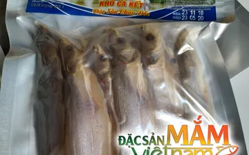 Mua khô cá kết ở đâu