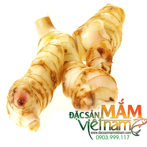 Củ riềng tươi - 1 Kg