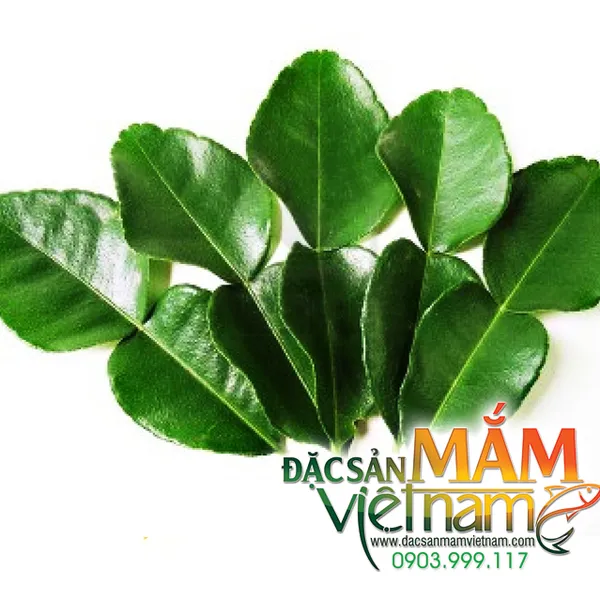 Lá chanh Thái - 1Kg