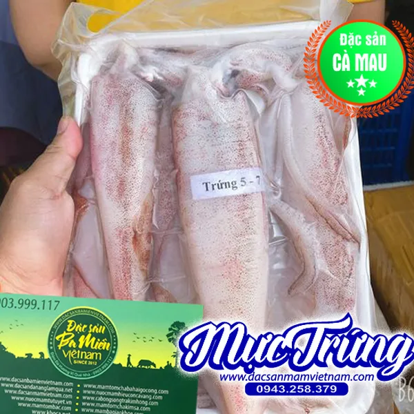 Mực trứng 5-7con/kg - Đặc sản Cà Mau