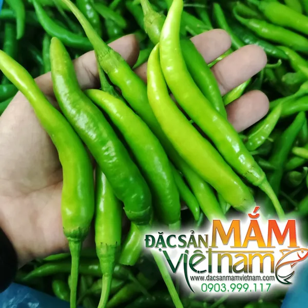 Ớt xanh Đà Nẵng - 200g