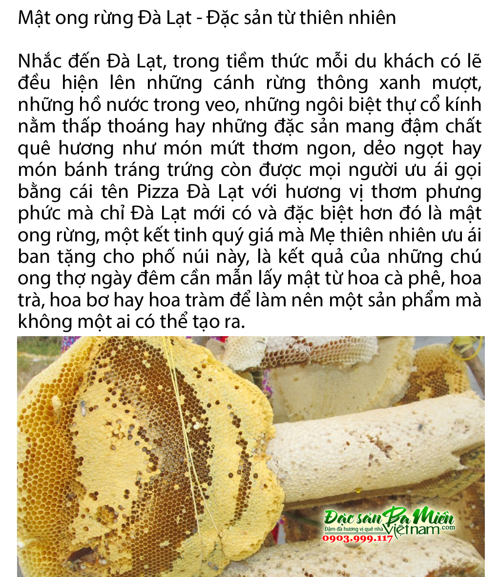 Mật ong rừng - Đặc sản nên mua làm quà khi đi du lịch Đà Lạt