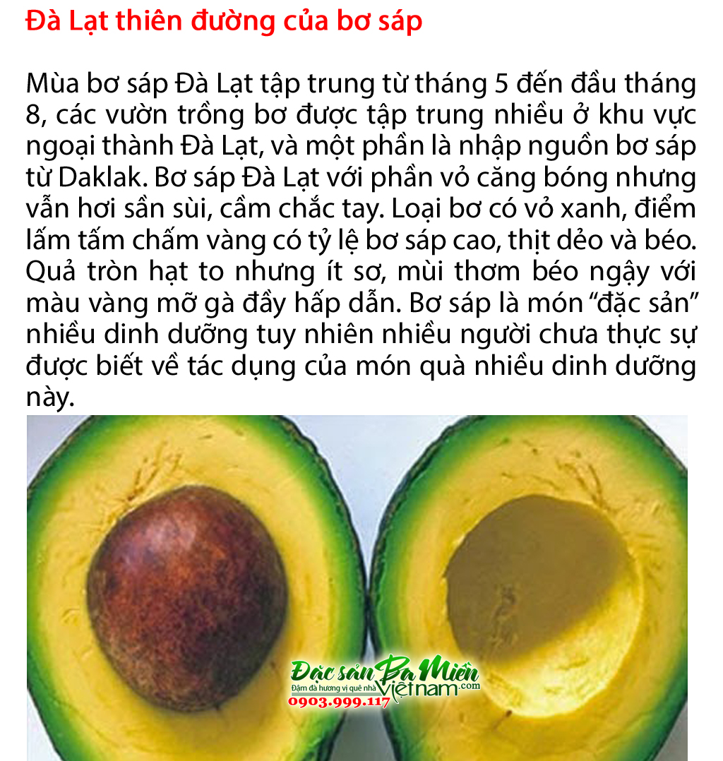 Bơ sáp - Đặc sản nên mua làm quà khi đi du lịch Đà Lạt