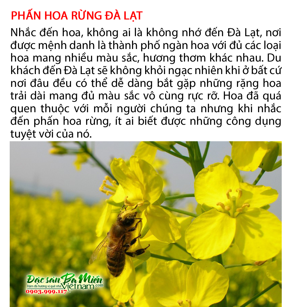 Phấn hoa rừng - Đặc sản nên mua làm quà khi đi du lịch Đà Lạt