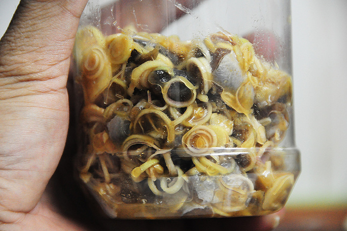 Mắm cá linh trộn sả ớt