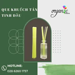 QUE KHUẾCH TÁN TINH DẦU (MÀU XANH)