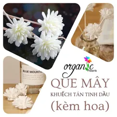 QUE MÂY KHUẾCH TÁN TINH DẦU (KÈM HOA)