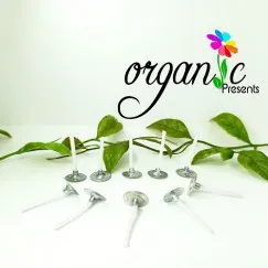 TIM & ĐẾ NẾN DÀI 6 CM