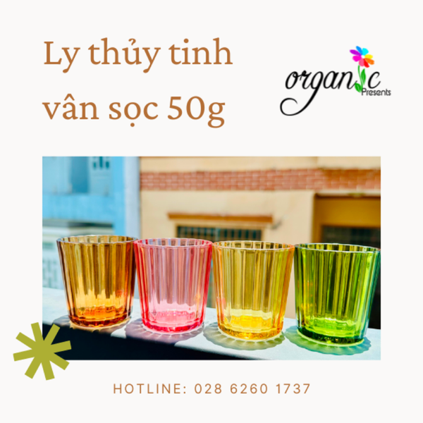 LY THỦY TINH ĐỰNG NẾN THƠM / TEALIGHT 50G